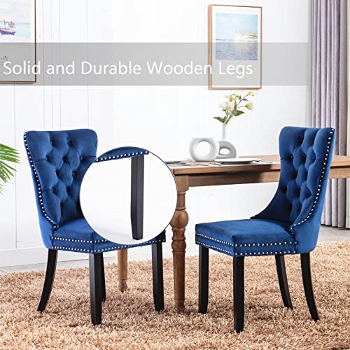 Blue Velvet Dining Chairs Set of 6 (Blue)