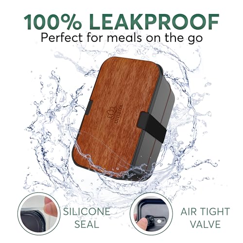 Bento Box Adult (L - 50 oz / Sapele Black)