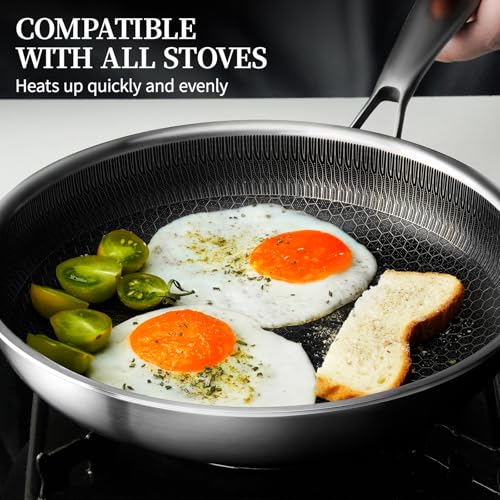 Stainless Steel Frying Pan with Lid (9.5 Inch)