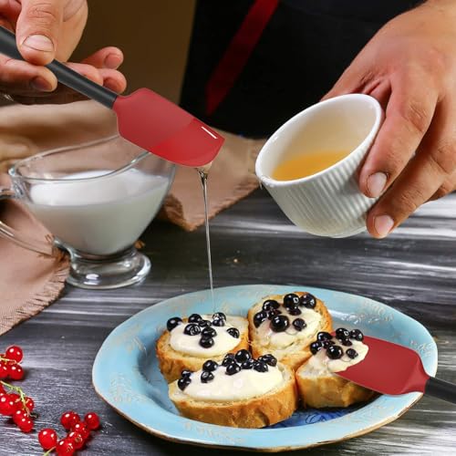 Silicone Spatula Set of 5 (Red Black)