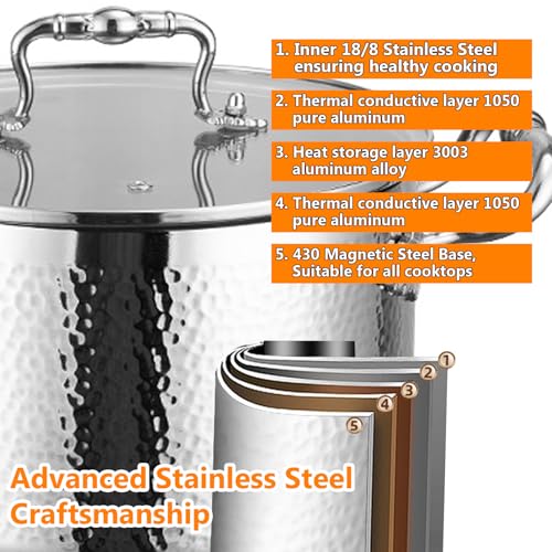 Stainless Steel Stock Pot with Visible Lid for Pasta (5.6 Quarts)