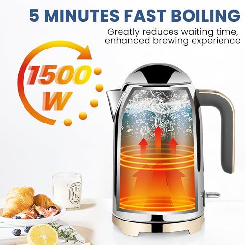 57oz Electric Kettle with Thermometer (Glossy Silver)