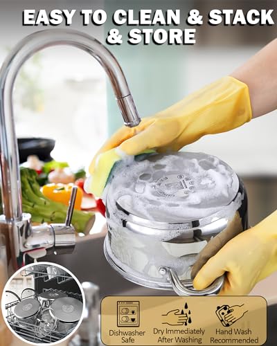 Basics 8 Quart Stainless Steel Stock Pot with Lid (8 Quarts / Silver)