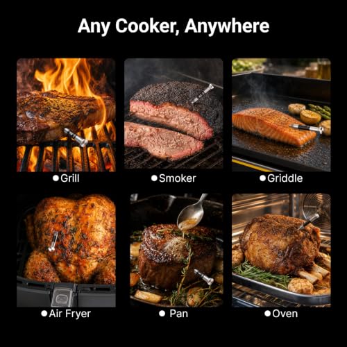 Sub 1G Wireless Meat Thermometer (Orange)