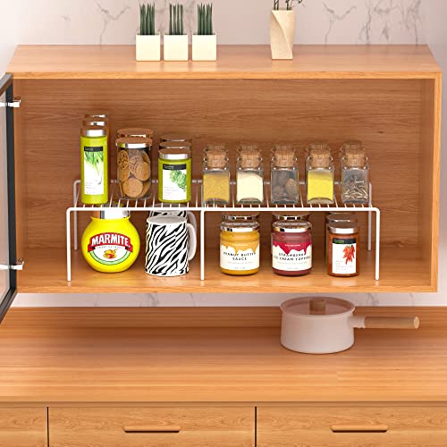 Cabinet Storage Shelf Rack