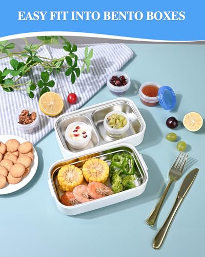Salad Dressing Containers (2oz-16 pack)