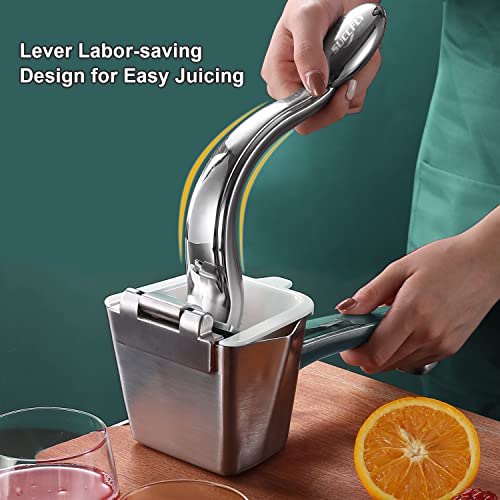 Lemon Squeezer Stainless Steel