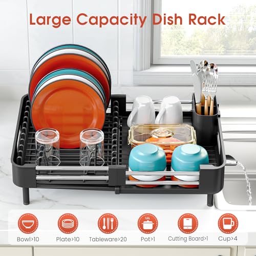 Expandable Dish Drying Rack for Kitchen Counter (Black / Standard)