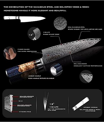 Hanikamu VG10 Damascus Chef Knife Set