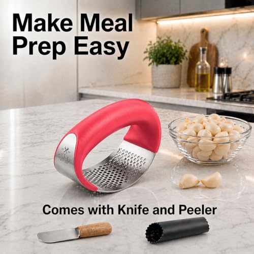 Stainless Steel Garlic Press Rocker Set (Salmon Pink)
