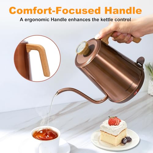 Electric Gooseneck Kettle with Thermometer (COPPER)