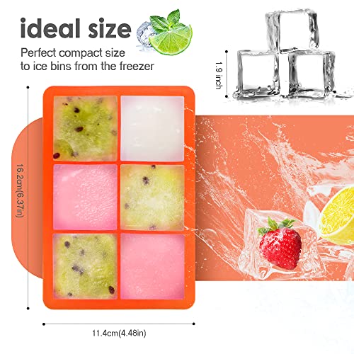 Silicone Ice Cube Trays (Dark Gray and Orange)