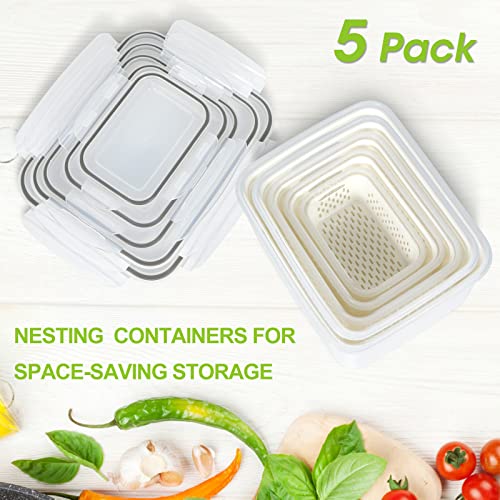 5 Pack Fruit Storage Containers for Fridge Berry Keeper Produce Saver (5 Pack Produce Savers)