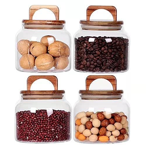 Glass Jars with Airtight Lid [Set of 4]