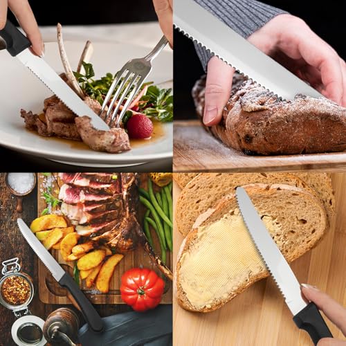 36 PCS Steak Knife Set (36PCS Steak Knife)
