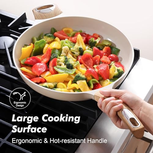 12.5inch Ceramic Nonstick Frying Pan Paella Pan with Lid (12.5 Inch / TAFFEE Taupe)