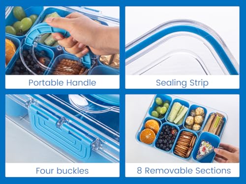 Divided Serving Tray with Lid and Handle (Cerulean-1 Pack)