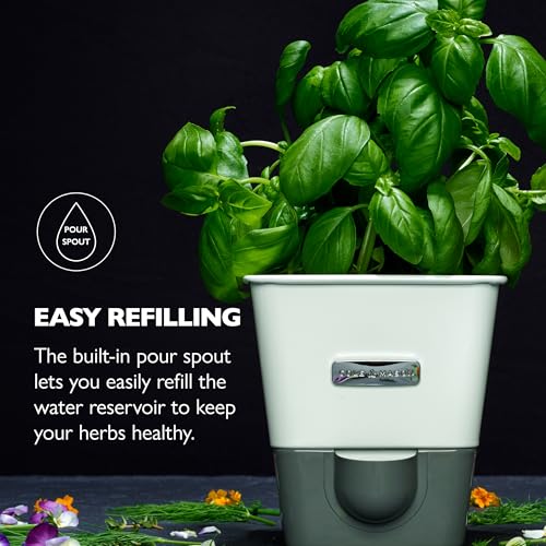 Self Water Herb Keeper (1 Count)