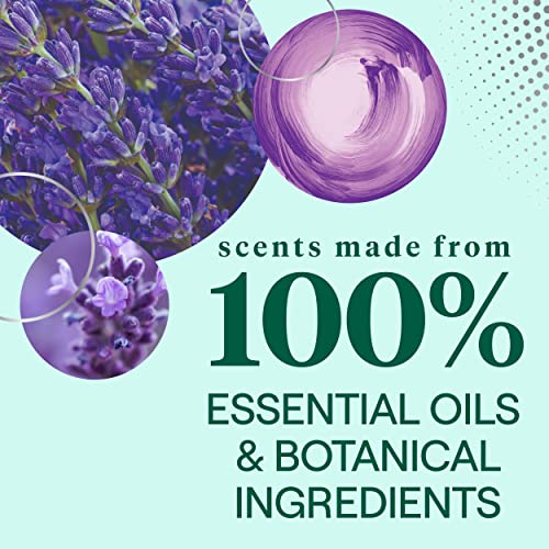 Dish Soap Liquid Lavender Flower & Mint Scent 1 Dishwashing Soap Dish Detergent Liquid Soap 19 oz (19 Fl Oz (Pack of 1))