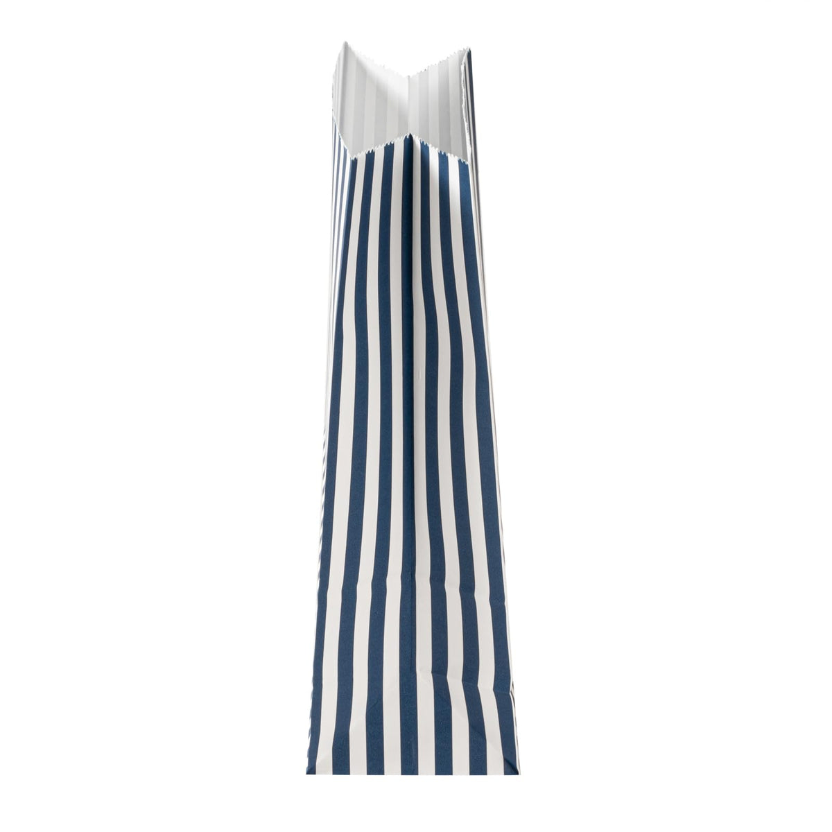 Blue And White Stripe Paper Bag (4 lb / Blue & White)