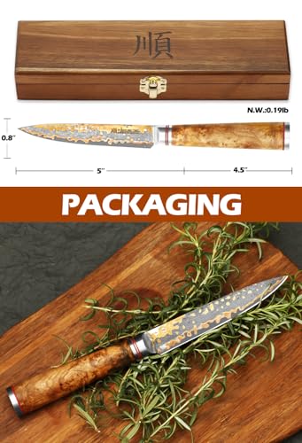 Petty Knife 5 Inch (Utility)