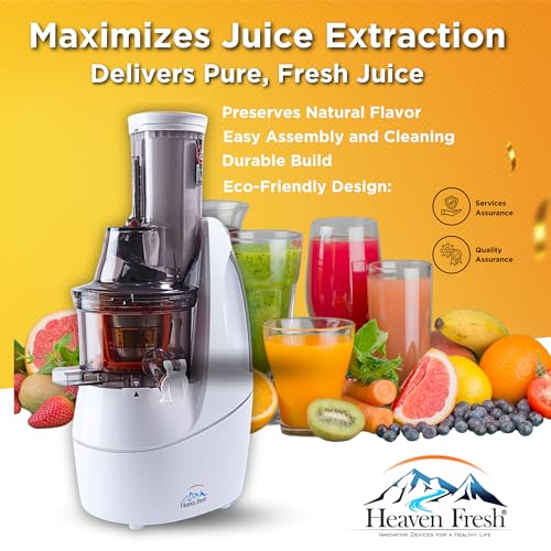 Cold Press Slow Masticating Juicer (Teal)