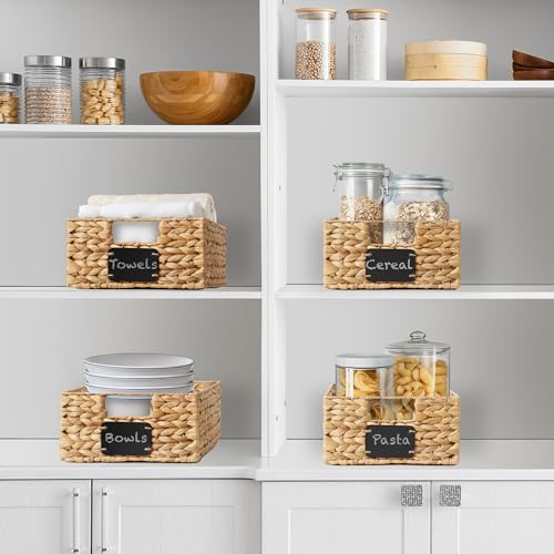 Set of 4 Water Hyacinth Pantry Baskets (Natural - Hyacinth / 10" x 13" x 5")