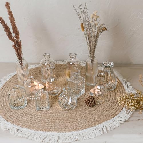 Glass Bud Vase Set of 12 Pcs Small Minimalist Vases for Flowers (Clear)