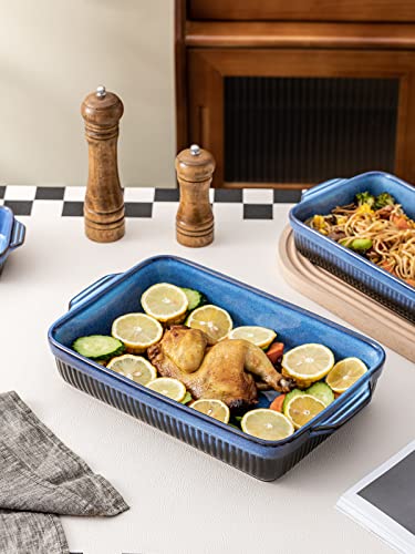 Ceramic Baking Dishes (Blue)