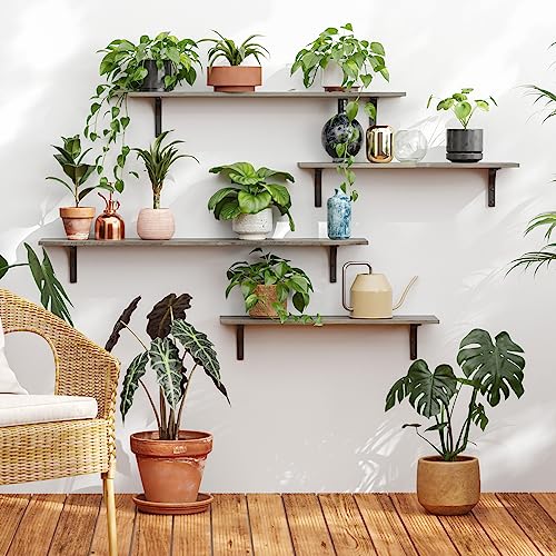Long Wall Shelves (Grey Wash / 55.1 Inch)