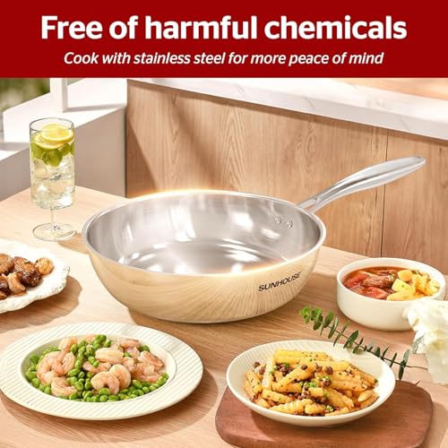 10 Inch Stainless Steel Frying Pan Skillet (Tri-Ply Stainless Steel)