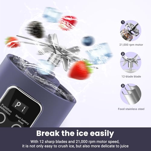 Personal Blender 500ml (Purple)