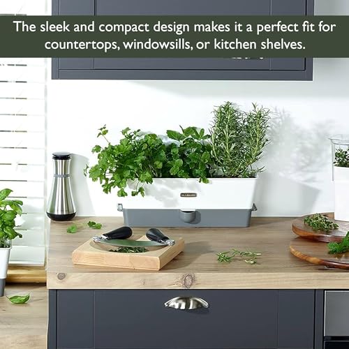 Burwell Self Watering Potted Herb Keeper (Triple Fresh Herb Keeper)