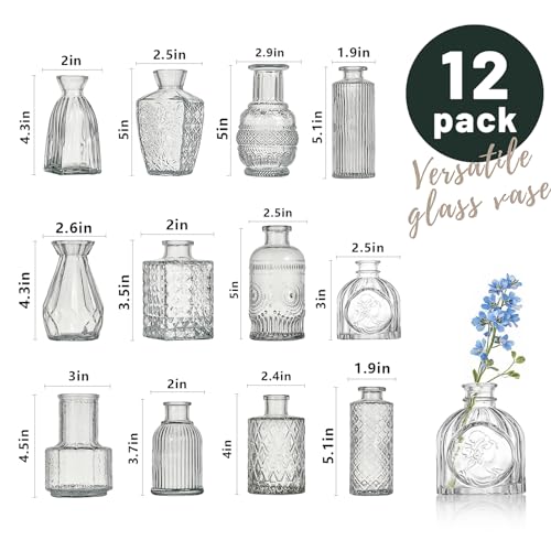 Glass Bud Vase Set of 12 Pcs Small Minimalist Vases for Flowers (Clear)