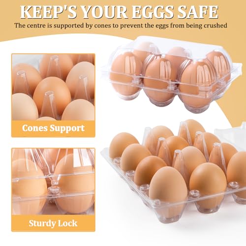200PCS Plastic Egg Cartons 6 Count (200 Count)