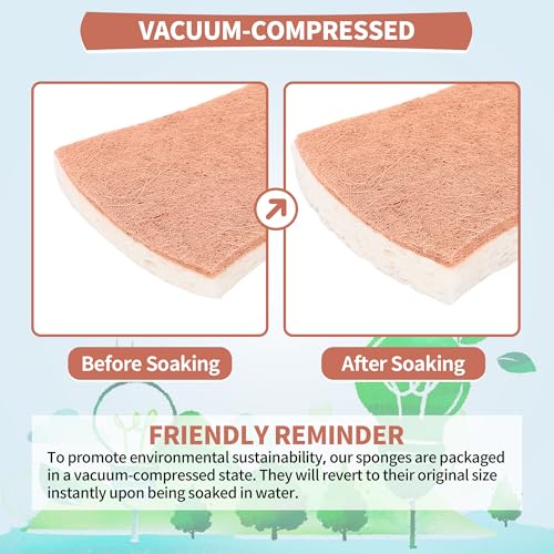 Natural Dish Sponge 24 Pack (24 Count)