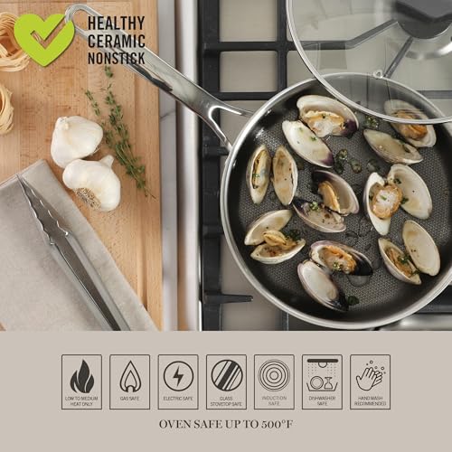 Badgley Hybrid Nonstick 10 Piece TriPly Stainless Steel Pots and Pans Non (Triply Stainless / 10-Piece Set)