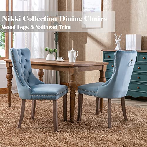 Light Blue Velvet Dining Chairs Set of 2 (Light Blue)