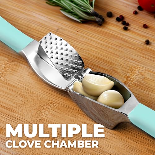 Metal Comfort Grip Garlic Press