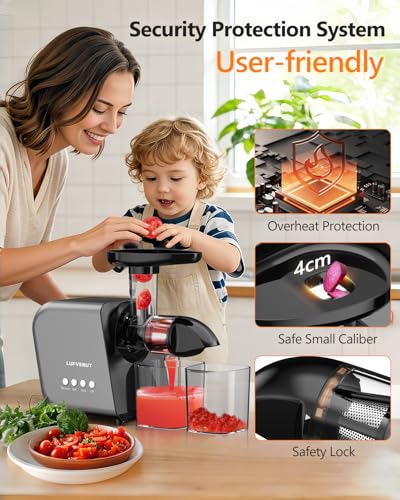 Slow Juicer with Reverse Function (Grey)