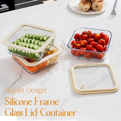 Glass Food Container Set with Glass Lid (White Sand-SQ-3p)