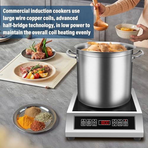 Professional Portable Induction Cooktop