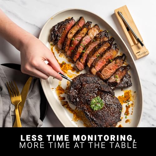 Plus Smart Meat Thermometer