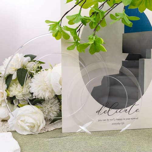 60PCS Clear Plastic Plates (Clear / 60)