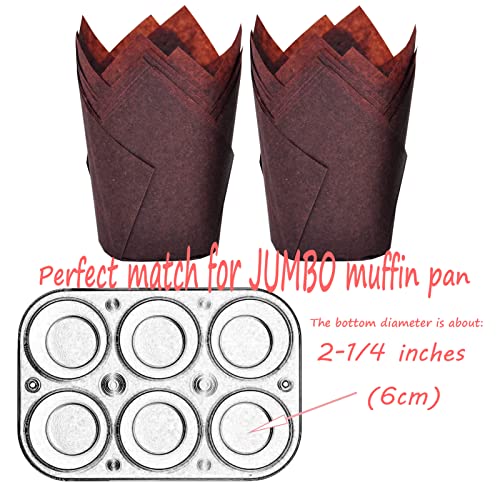Large size Brown Tulip Baking Cups 2 (Brown)