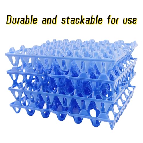 4 Pack Blue Rectangular Plastic Egg Tray (4 Count)