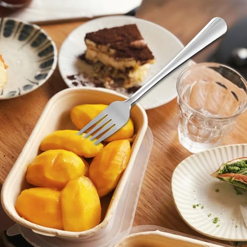 Windsor 60 Piece Set Stainless Steel Dinner Forks (60-piece Dinner Forks)