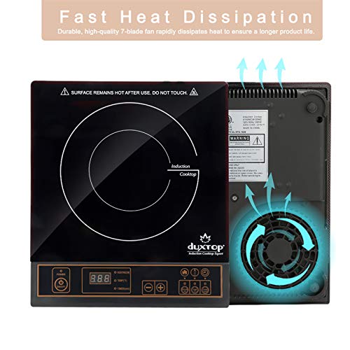 1800W Portable Induction Cooktop Countertop Burner (Gold)
