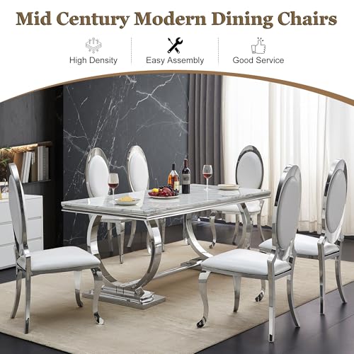 Modern Dining Chairs Set of 2