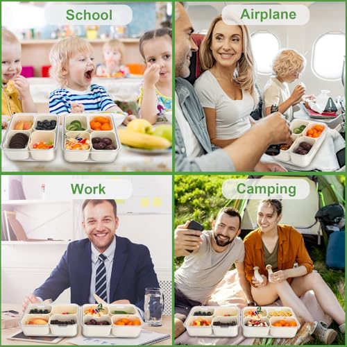 4 Compartment Snackle Box Containers with Lids (4 Compartments-2pcs / White)